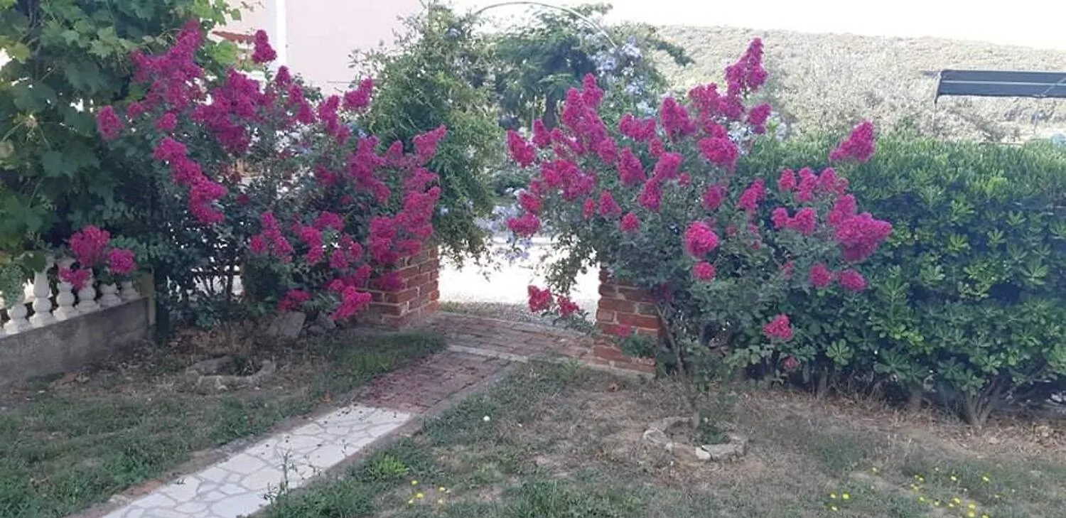 Apartments Robi- Swimming Pool And Beautiful Garden Kampor Chorwacja